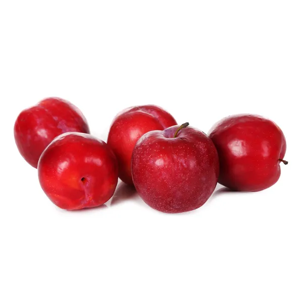 Plūmes sarkanās 40 mm, kg