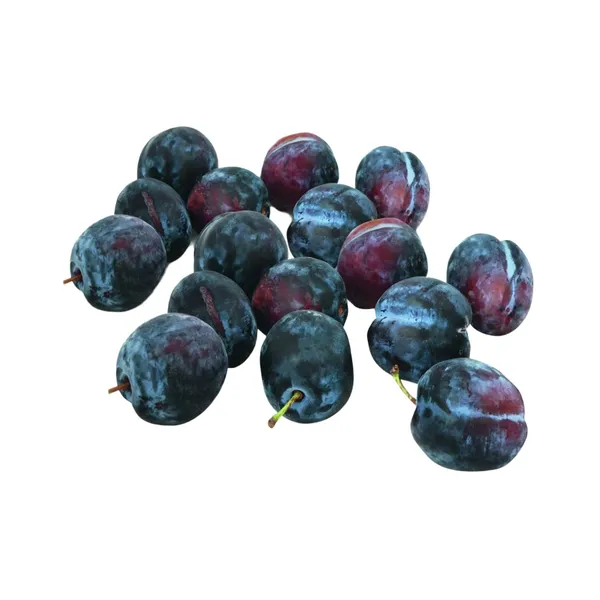 Plūmes tumšās Angeleno 50+ mm, kg