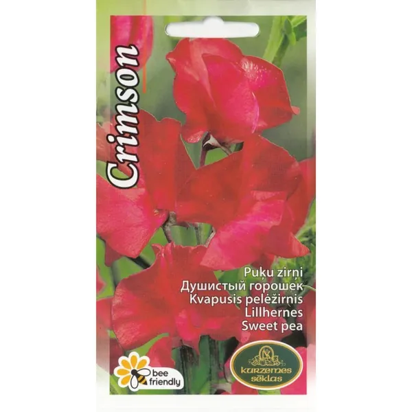 Puķu zirņi Crimson Kurzemes sēklas