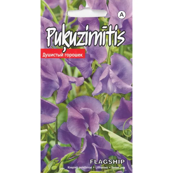 Puķuzirnītis Flagship Kurzemes Sēklas