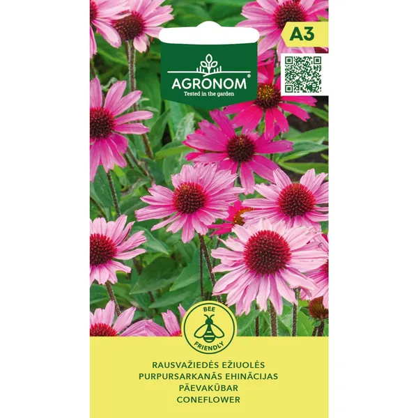 Purpursarkanās Ehinācijas