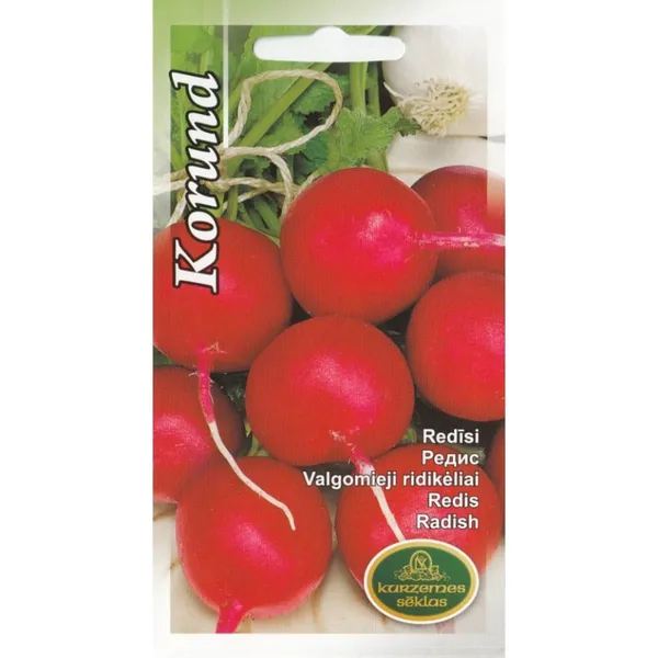 Redīsi Korund Kurzemes Sēklas