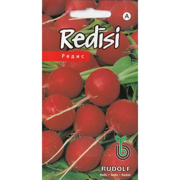 Redīsi Rudolf Kurzemes Sēklas