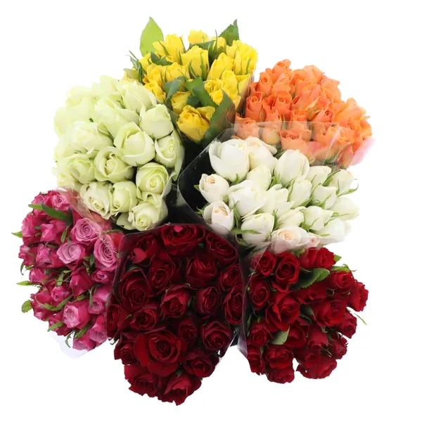 Rozes classic mix 40cm 21 kāts