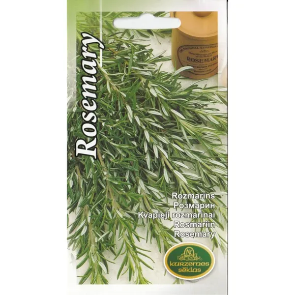 Rozmarīns Kurzemes sēklas