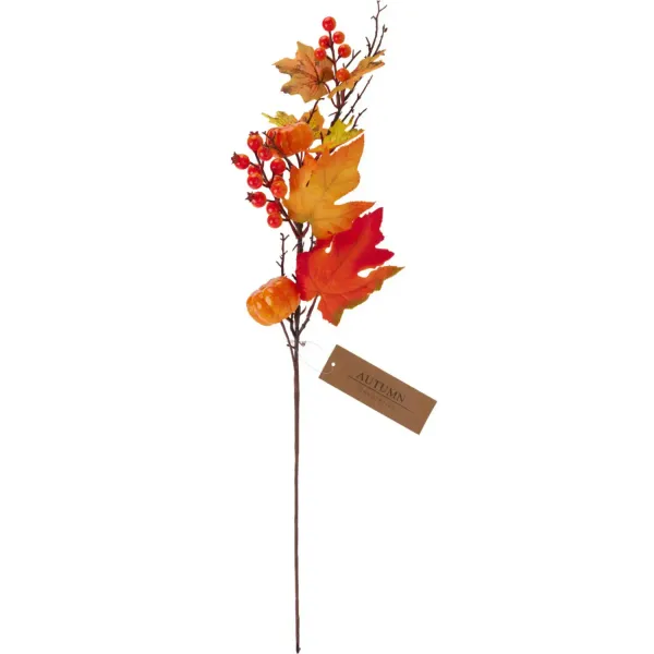 Rudens lapu zars 70 cm, krāsa un dizains var atšķirties HW26