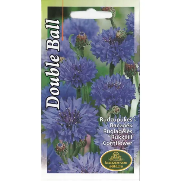 Rudzupuķes Blue Ball zilas Kurzemes Sēklas