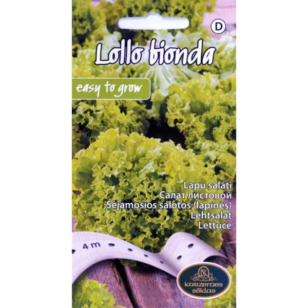Salāti Lollo Bionda 4m Kurzemes sēklas