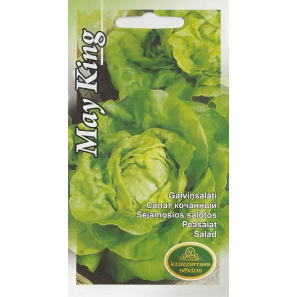 Salāti May King Kurzemes sēklas