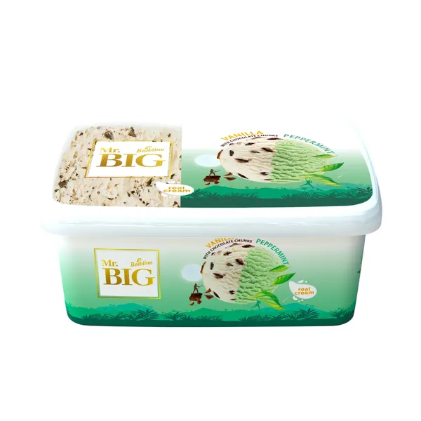 Krējuma saldējums Mr Big piparmētru un vaniļas ar šokolādes gabaliņiem 1,4l/680g
