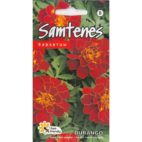 Samtenes Durango red Kurzemes sēklas