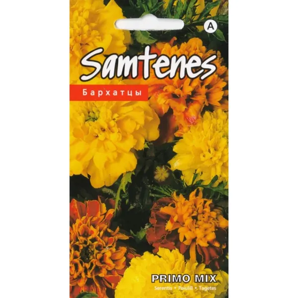 Samtenes Primo mix Kurzemes sēklas