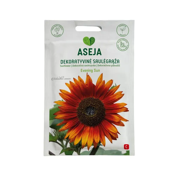 Saulespuķe Evening Sun, Aseja, 1g, 40-0313 (C)