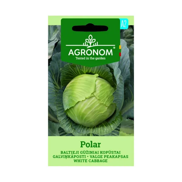 Sēklas AGRONOM Galviņkāposti Polar