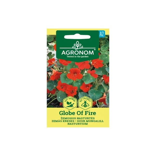 Sēklas AGRONOM Krese lielā Globe Of Fire