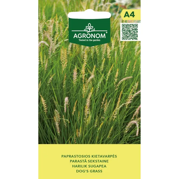 Sēklas AGRONOM Parastā sekstaine