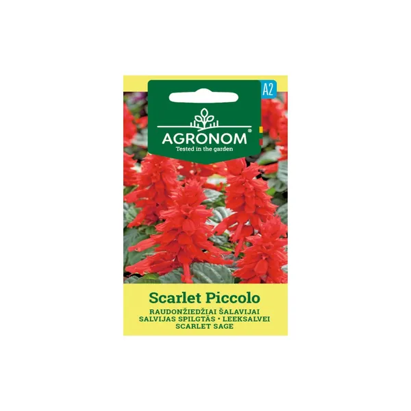 Sēklas AGRONOM Salvijas spilgtās Scarlet Piccolo