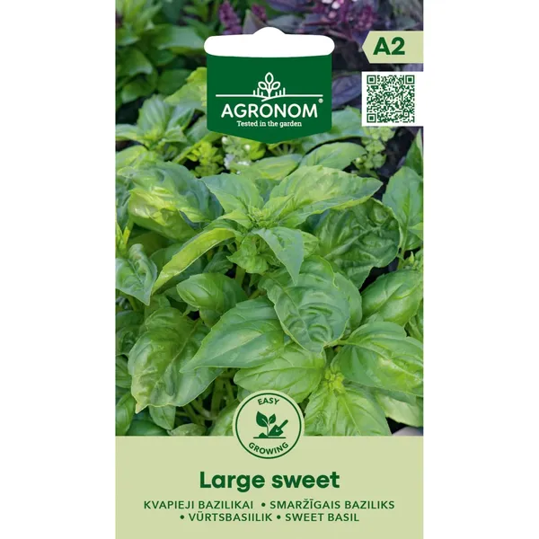 Sēklas AGRONOM Smaržīgais baziliks Large Sweet
