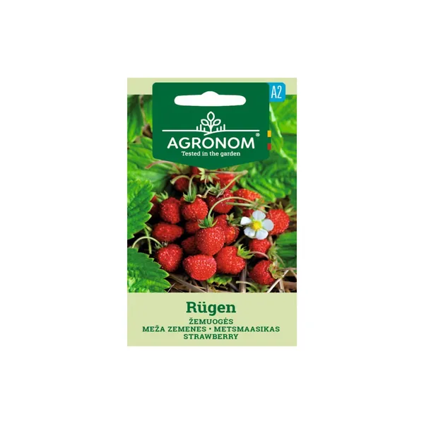 Sēklas AGRONOM Zemenes Rügen