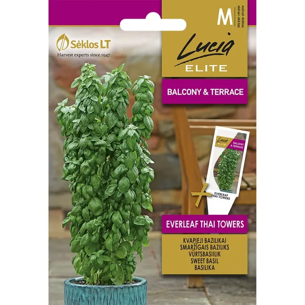 Sēklas LUCIA ELITE Baziliks Everleaf Thai Towers LE