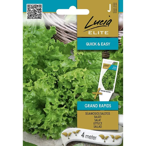 Sēklas LUCIA ELITE Dārza salāti Grand Rapids LE