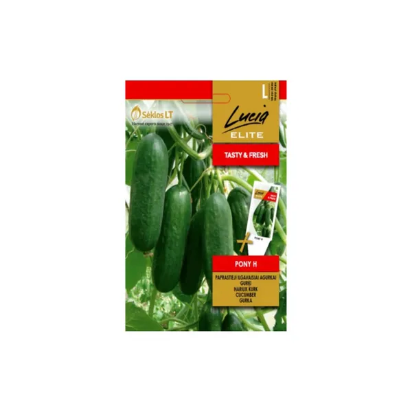 Sēklas LUCIA ELITE Īsaugļu gurķi Pony H LE