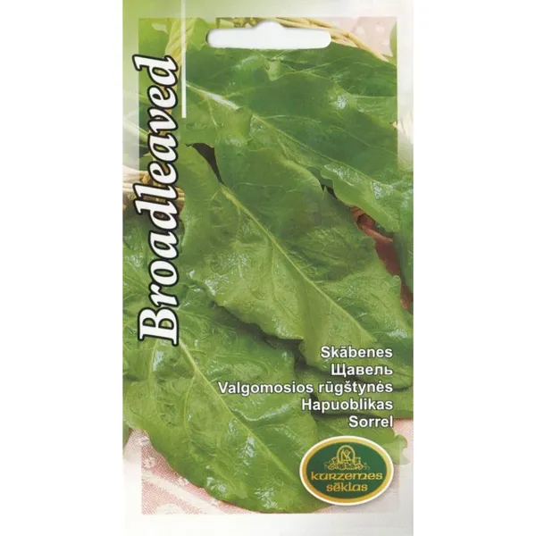 Skābenes Broadleaved Kurzemes Sēklas