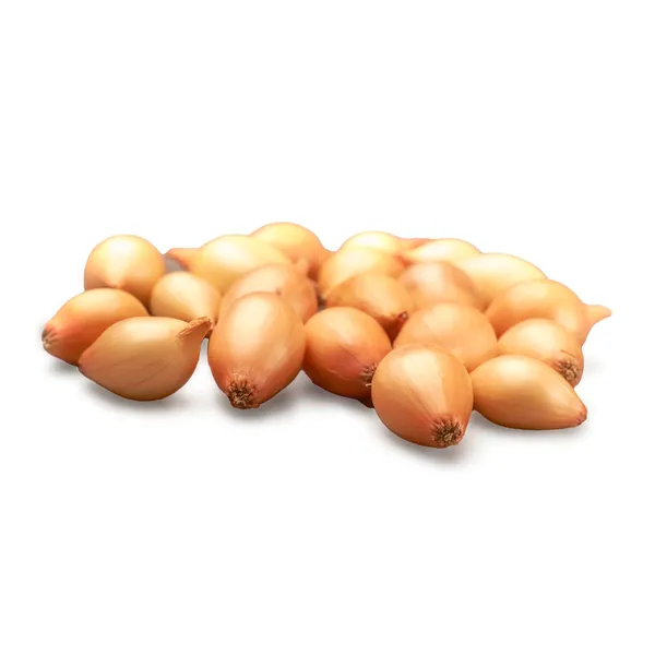 Stādāmi sīksīpoliņi Sturon yellow 1kg