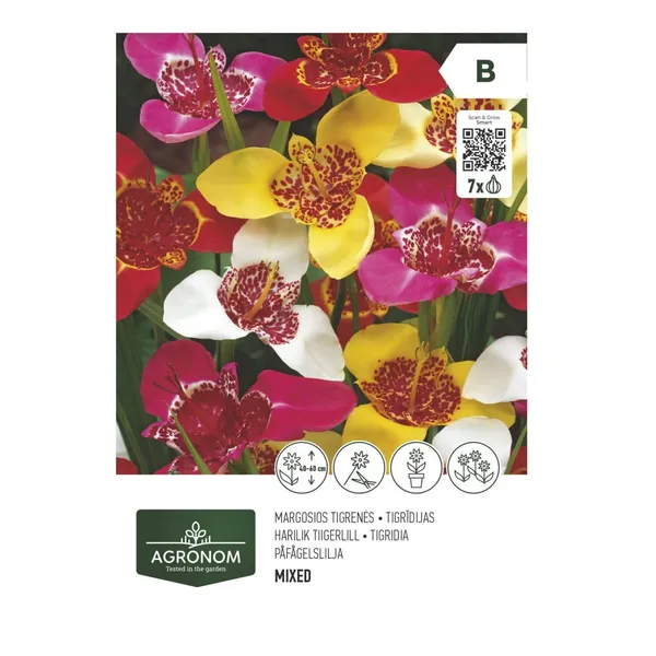 Tigrīdijas mix Agronom SG26