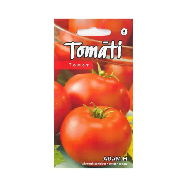 Tomāti Adam H Kurzemes Sēklas