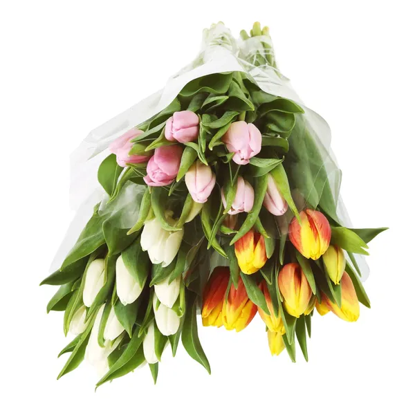 Tulpju pušķis 35cm, 11 kāti