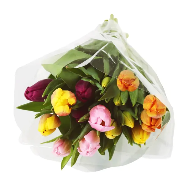 Tulpju pušķis 35cm, 17 kāti