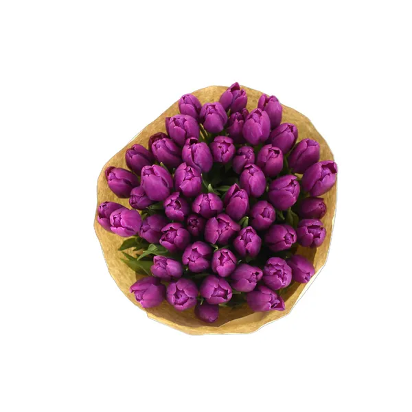 Tulpju pušķis 35cm, 50 kāti