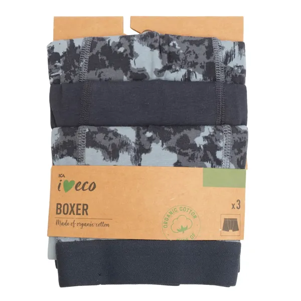 Zēnu apakšbikses I Love Eco Axel 3gab 110/116