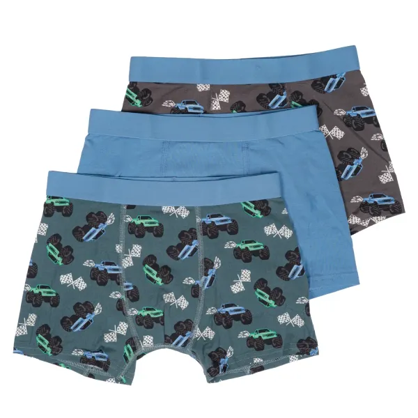 Zēnu apakšbikses Mywear Axel Checkered Flag 3gab 134/140