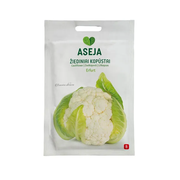 Ziedkāposti Erfurt, Aseja, 0,5g, 20-0517 (B)