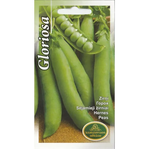 Zirņi Gloriosa Kurzemes Sēklas