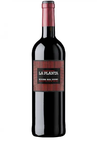 Arzuaga La Planta Ribera del Duero
