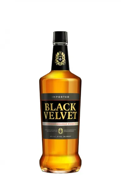 Black Velvet Canadian 3YO