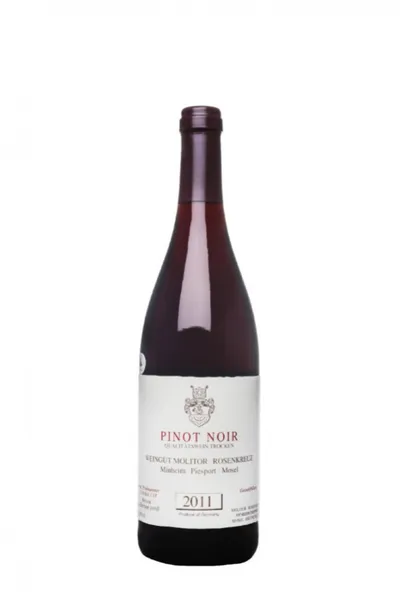Pinot Noir Molitor Rotwein Trocken im Barrique