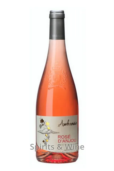 Rose d'Anjou Ambroisie