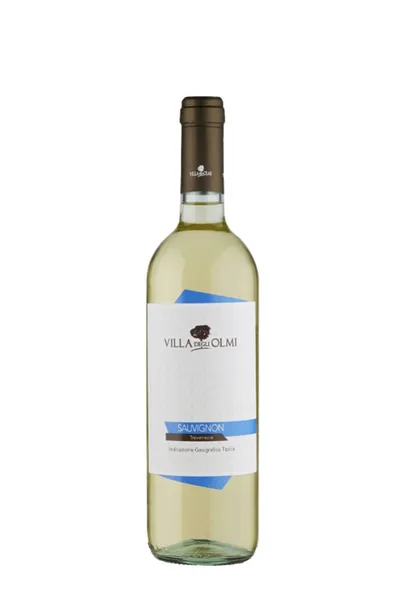Villa Degli Sauvignon Blanc
