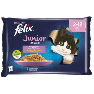 BARĪBA KAĶIEM KONS.FELIX FANTASTIC JUNIOR AR VISTAS G.85GX4