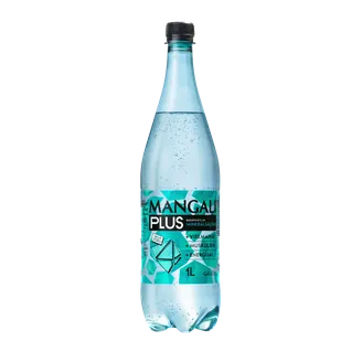 D MINERĀLŪDENS MANGAĻI PLUS AR MINERĀLSĀĻIEM GĀZ.1L PET
