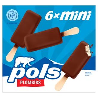 SALDĒJUMS POLS PLOMBĪRS 240G